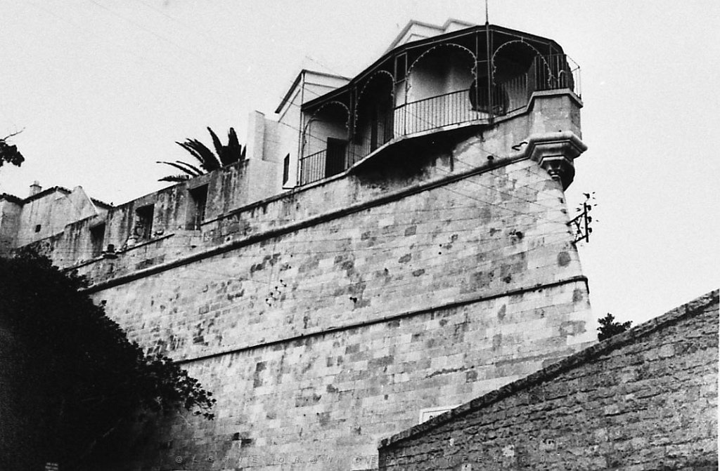 ORAN 02430.jpg